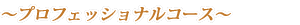 プロフェッショナルコース